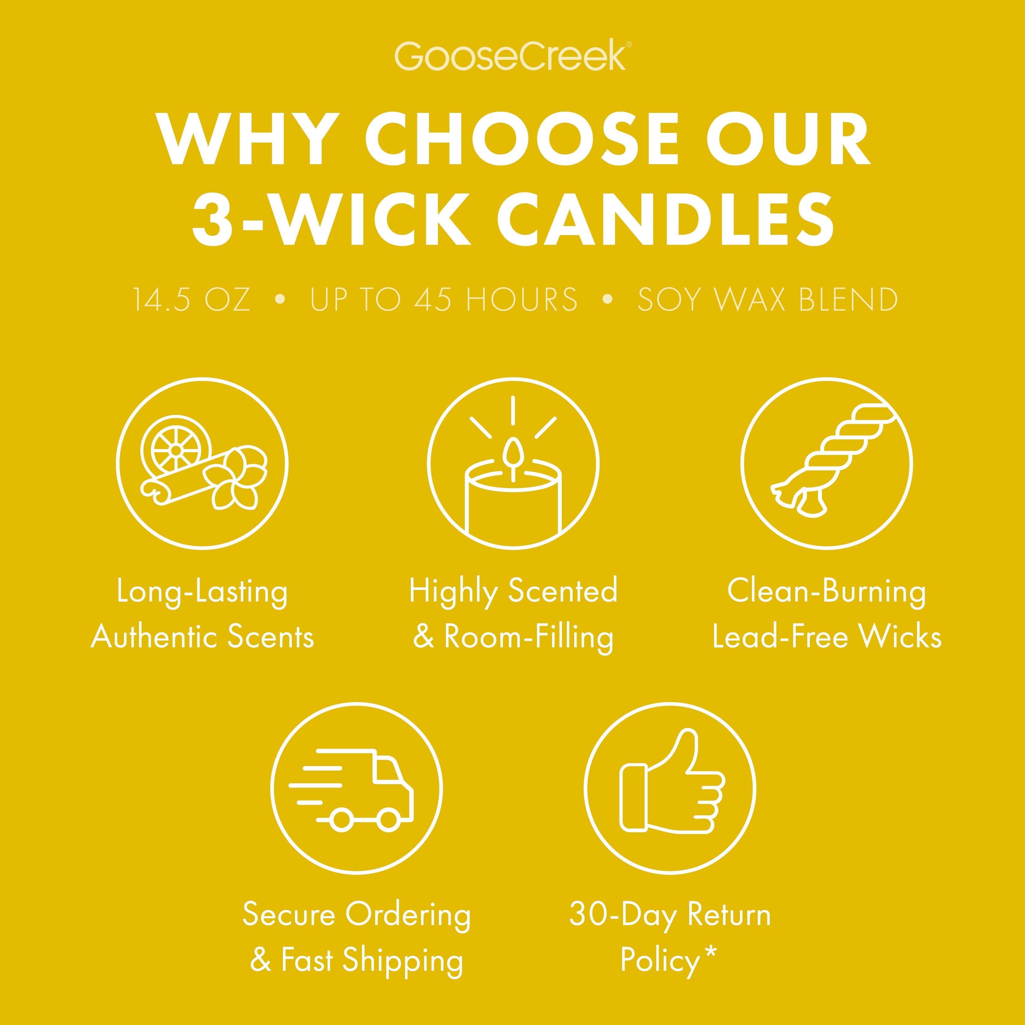 The Wild Thornberry's Nickelodeon 3-Wick Candle