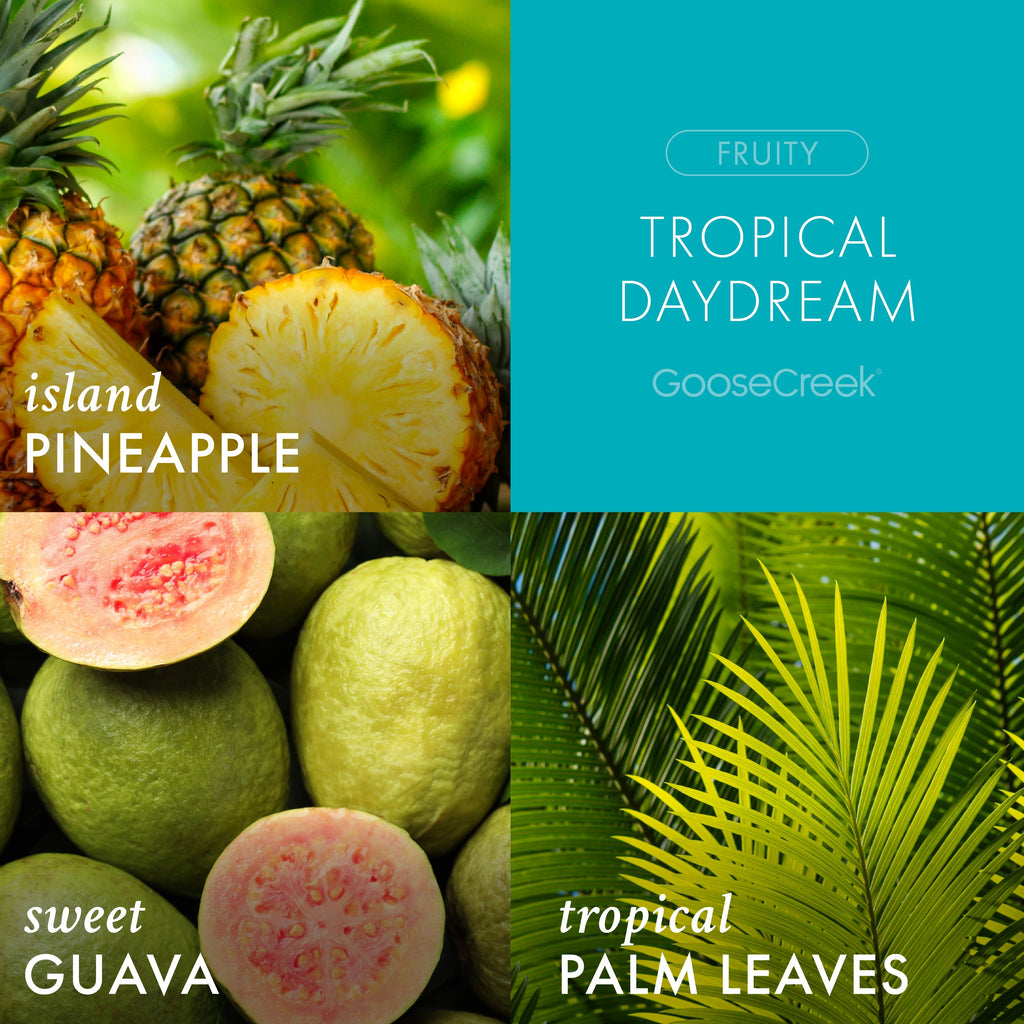 Tropical Daydream 3-Wick Candle