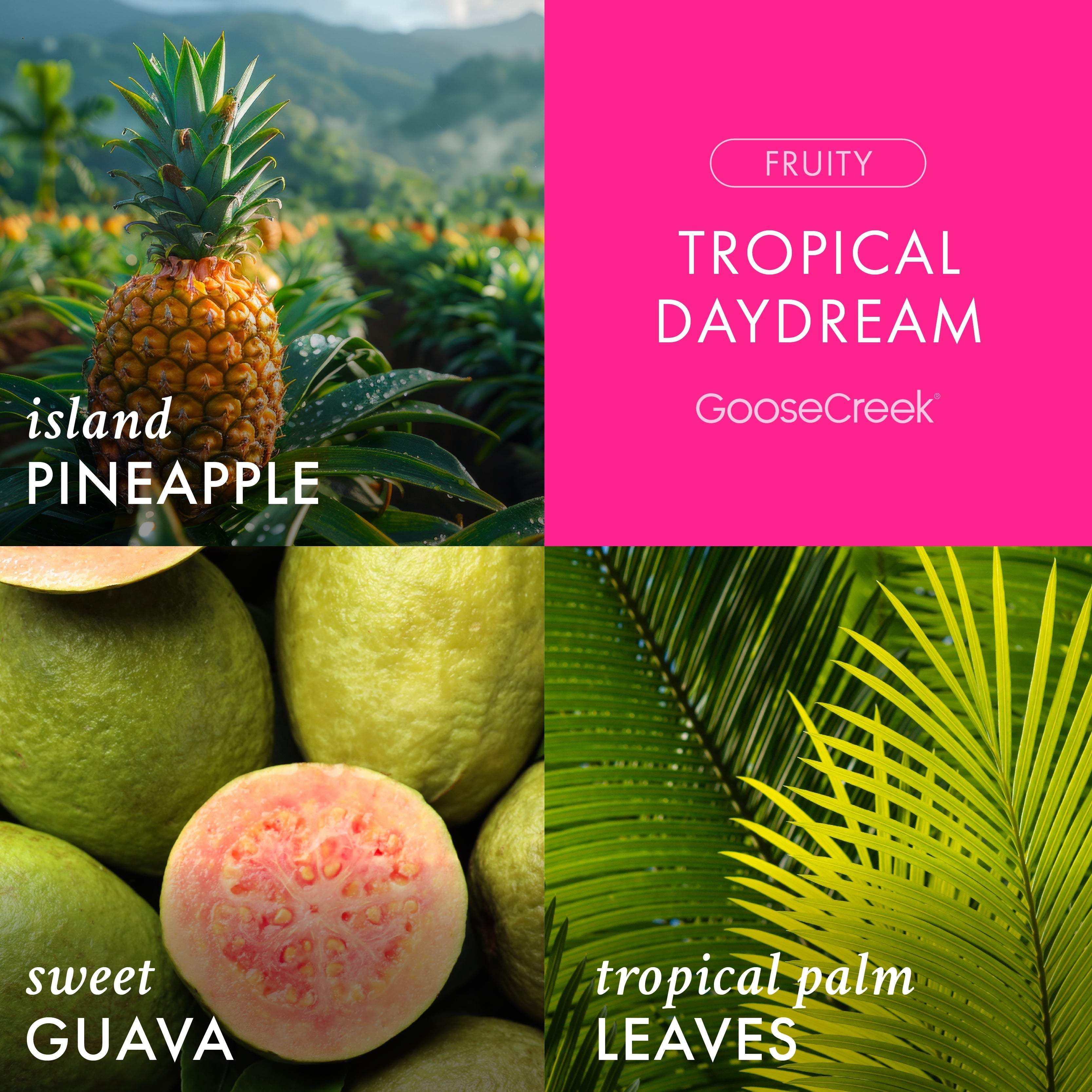 Tropical Daydream 3-Wick Candle